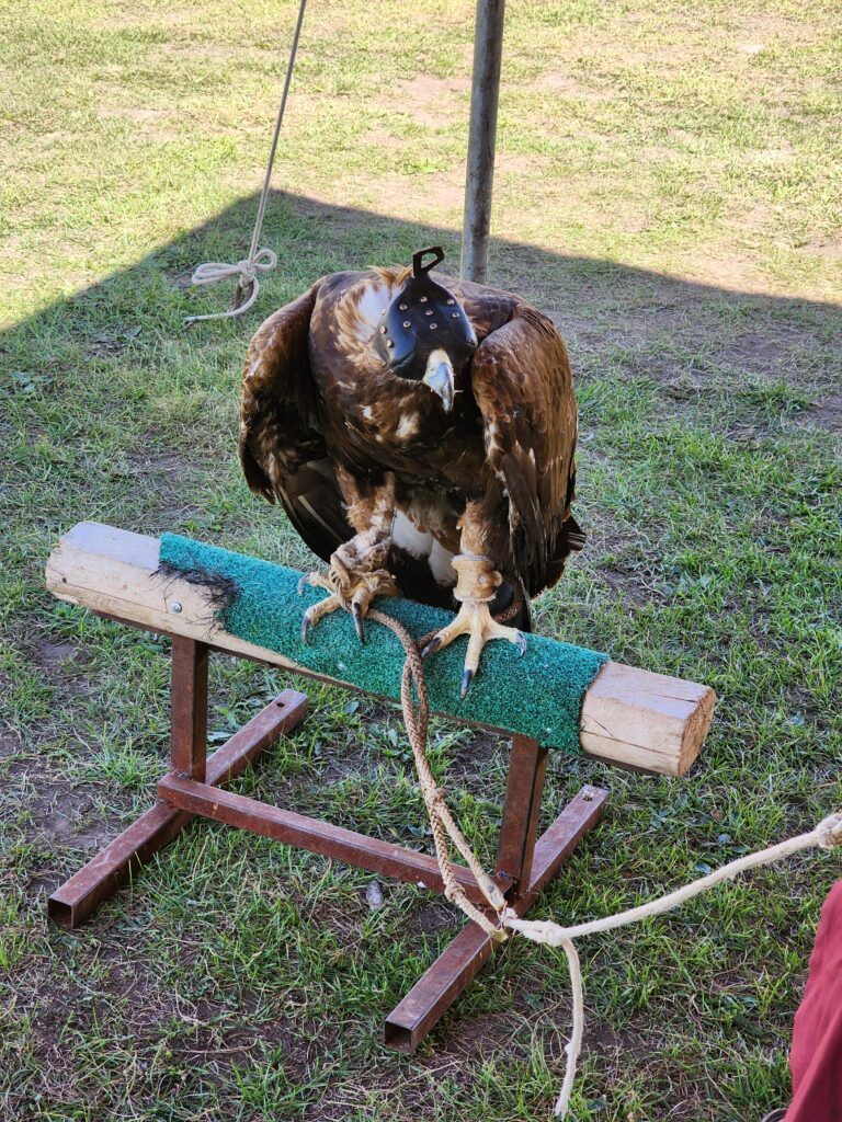 KakaoTalk_20260122_123202795